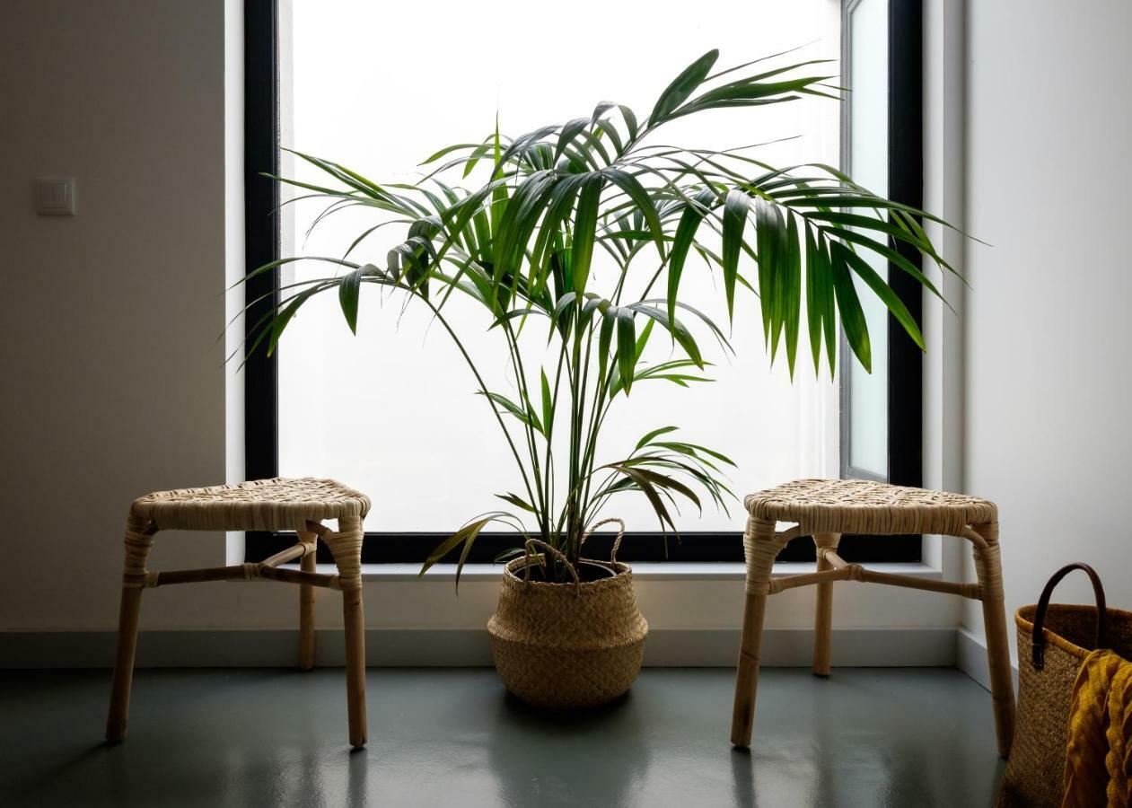 Casa Do Vento By Home Sweet Home 阿威罗 外观 照片